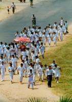 Galle 3